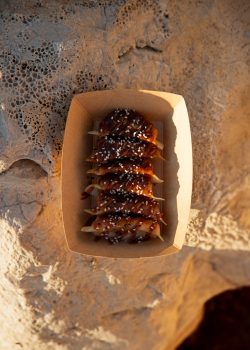 EGAO-foodbike-marseille-gyoza-4